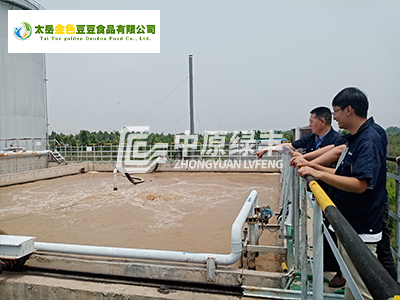 沁源县太岳金色豆豆食品生产废水处理工程案例