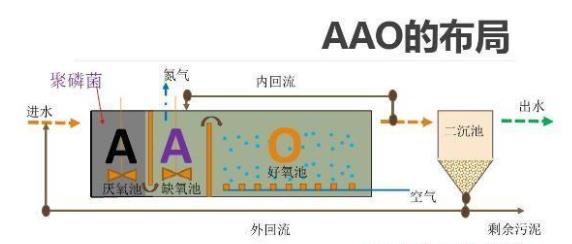 食品废水处理AAO工艺和倒置AAO工艺的区别是什么?